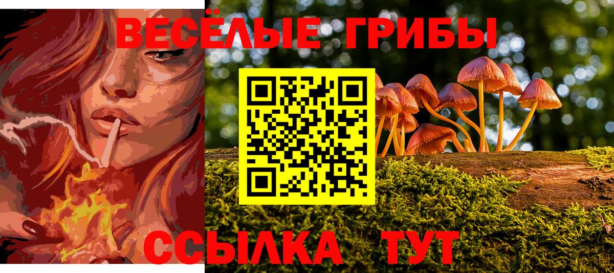 Красноармейск  Псилоцибиновые грибы мицелий  Вход с VPN  Псилоцибиновые грибы Magic Shrooms 