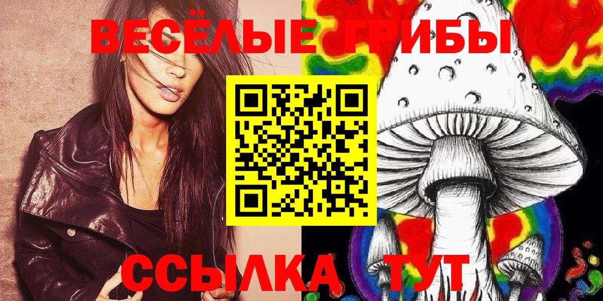 Псилоцибиновые грибы прущие грибы Красноармейск