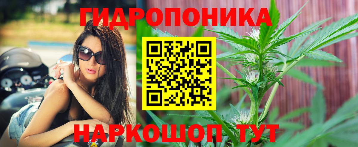Конопля Amnesia  Бошки марихуана семена  Конопля планчик  Красноармейск  Вход с VPN 